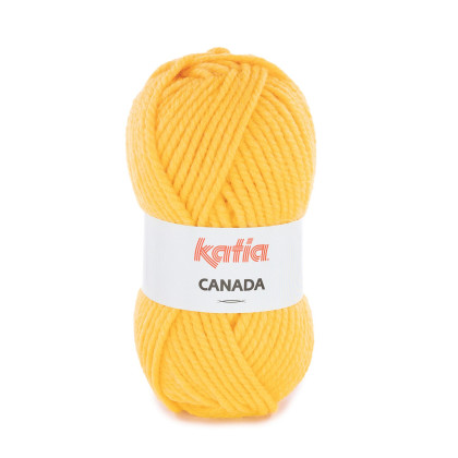 CANADA - AMARILLO TRÁFICO (58)