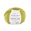 MERINO 100% - CONCEPT - PISTACHO (29)
