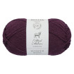 WONDER WOOL DK - GERBERA (799)