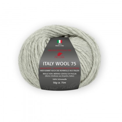 ITALY WOOL 75 - HELLGRAU MELIERT (291)