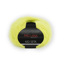 KID SETA - KIWI (71)