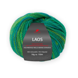 LAOS - FRÜHLING (88)