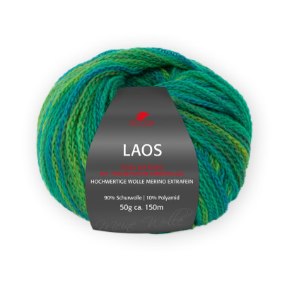 LAOS - FRÜHLING (88)