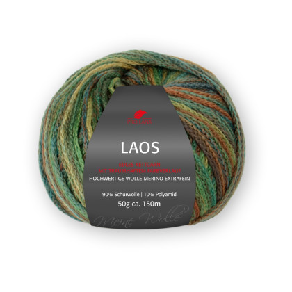 LAOS - JUNGLE (83)