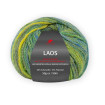 LAOS - WIESE (87)