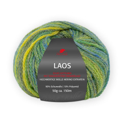 LAOS - WIESE (87)