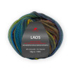 LAOS - WINTER (92)