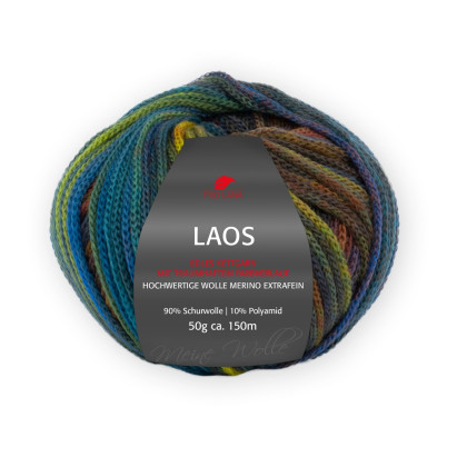 LAOS - WINTER (92)