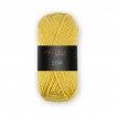 STAR - Farbe 23