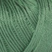 COTTON GLACÉ - GREEN SLATE (RG844)