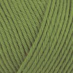 COTTON GLACÉ - IVY (RG812)
