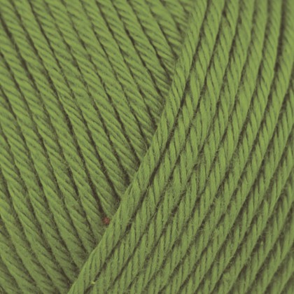 COTTON GLACÉ - IVY (RG812)