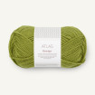 ATLAS PetiteKnit - MATCHA (9564)