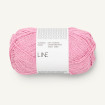LINE - PINK LILAC (4813)
