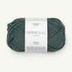 MERINOULL - PETROLEUM (7572)