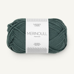 MERINOULL - PETROLEUM (7572)