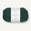 PERFECT - DYP PETROL (7281)