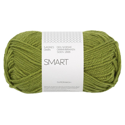 SMART - MATCHA (9564)