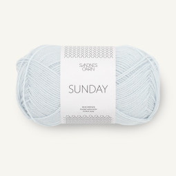 SUNDAY - ARCTIC ICE (5811)