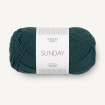 SUNDAY - DYP PETROL (7281)