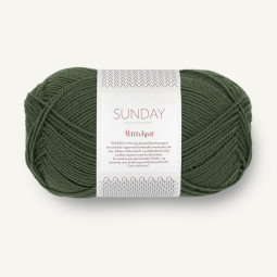 SUNDAY PetiteKnit - PINE (9581)