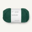 SUNDAY - RAIN FOREST (7772)
