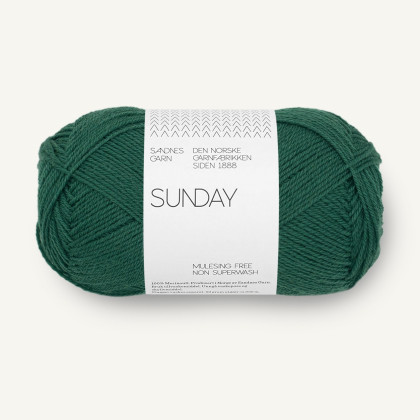 SUNDAY - RAIN FOREST (7772)