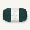 TYNN PEER GYNT - DYP PETROL (7281)