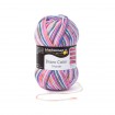 BRAVO COLOR - CANDY COLOR (02117)