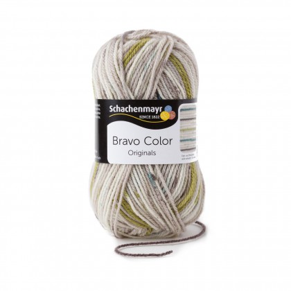 BRAVO COLOR - NEBEL COLOR (02108)