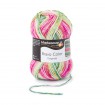BRAVO COLOR - WASSERMELONE COLOR (02123)