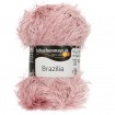 BRAZILIA - ORCHIDEE (01297)