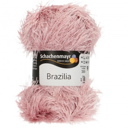 BRAZILIA - ORCHIDEE (01297)
