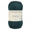CATANIA - AGAVE (00244)
