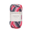 CATANIA COLOR - ANEMONE (00235)