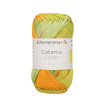 CATANIA COLOR - CACTUS (00238)