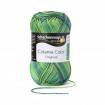 CATANIA COLOR - WIESE COLOR (00206)