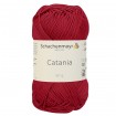 CATANIA - ERDBEERE (00258)