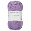 CATANIA - IRIS (00503)