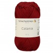 CATANIA - KIRSCHE (00424)