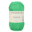 CATANIA - MAIGRÜN (00389)
