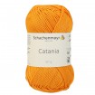 CATANIA - MANGO (00411)