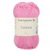 CATANIA - ORCHIDEE (00222)