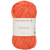CATANIA - PERSISCHORANGE (00439)