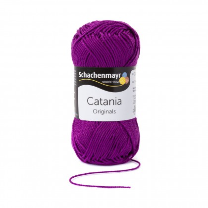 CATANIA - PHLOX (00282)