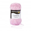 CATANIA - ROSA (00246)