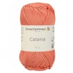 CATANIA - SCAMPI (00427)