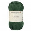 CATANIA - TANNENBAUM (00419)