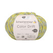 COLOR DRIFT - NORTHERN LIGHTS (00083)