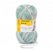 6-FÄDIG COLOR 150g - VOSS COLOR (02787)